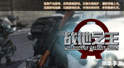 战地之王补丁：提升游戏体验，修复问题，引领未来战斗！