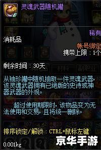 DNF神秘人皮肤:揭秘与探讨 DNF神秘人皮肤:揭秘与探讨