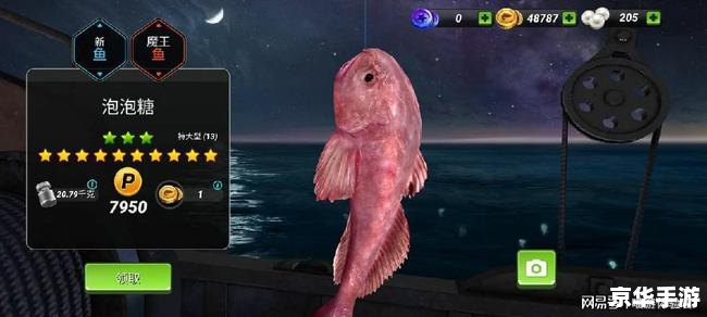 深海探险:揭秘神秘的海底世界3D 深海探险:揭秘神秘的海底世界3D