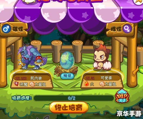 洛克王国小独角兽:培养与战斗的魔法之旅 洛克王国小独角兽:培养与战斗的魔法之旅