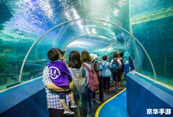 海底世界资料 探秘海底世界：深海探险游戏全新上线
