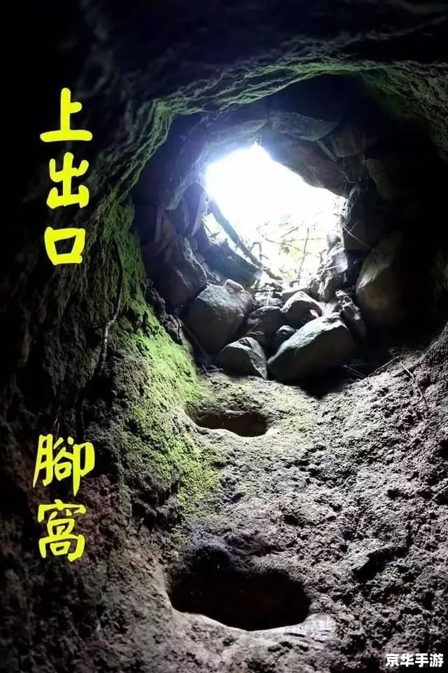 探索神秘的古代遗迹:WOW考古冒险之旅 探索神秘的古代遗迹:WOW考古冒险之旅