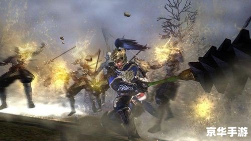 无双大蛇2 特别版 无双大蛇2特别版:激战群雄,英勇无双 无双大蛇2 特别版 无双大蛇2特别版:激战群雄,英勇无双