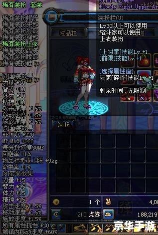 DNF格斗家:战斗的艺术 DNF格斗家:战斗的艺术