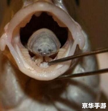 恐怖的寄生虫 标题：