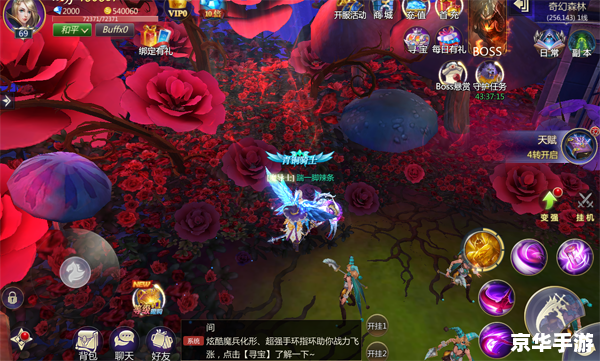火炬之光 秘籍 火炬之光：探索神秘的魔法世界