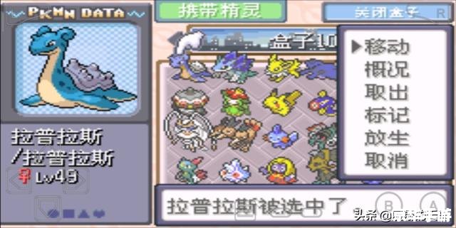 口袋妖怪竞技场：培养与战斗的终极舞台