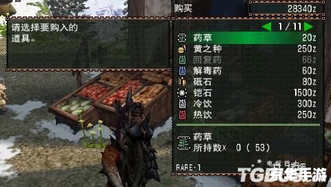怪物猎人2g显血插件:提升狩猎体验的必备神器 怪物猎人2g显血插件:提升狩猎体验的必备神器