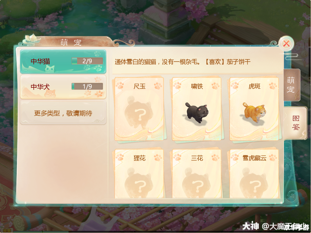 大话西游3序列号：解锁游戏新篇章