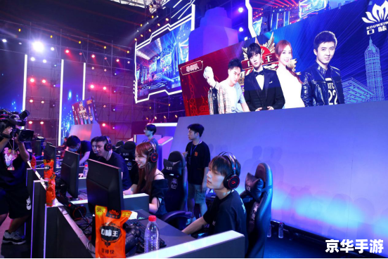 WCG2010中国区总决赛：电竞盛宴的巅峰对决