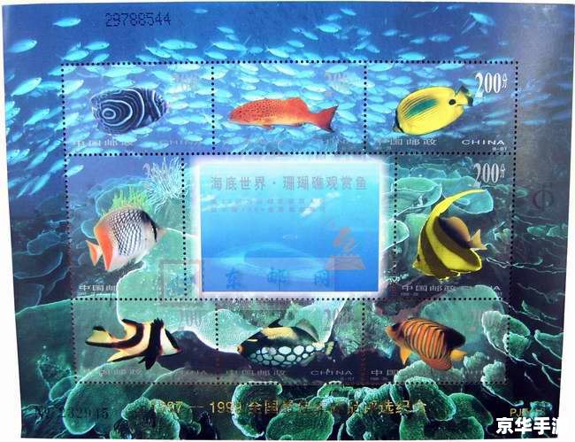 奥比岛龙鱼:探寻神秘的海洋生物 奥比岛龙鱼:探寻神秘的海洋生物