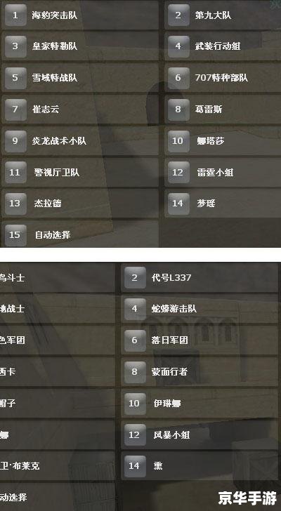CSOL密码箱:解锁神秘奖励的钥匙 CSOL密码箱:解锁神秘奖励的钥匙