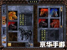 三国赵云传之纵横天下秘籍 三国赵云传之纵横天下秘籍