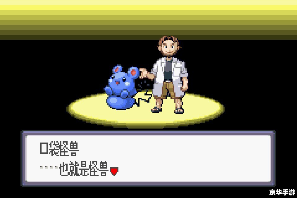 口袋妖怪蓝宝石金手指代码
