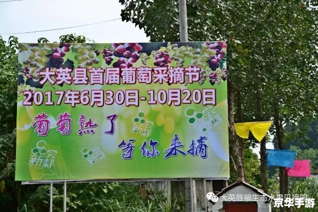 QQ农牧场三合一：体验农家乐趣，尽享丰收喜悦