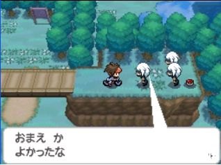 口袋妖怪黑2白2：探索神秘的精灵世界