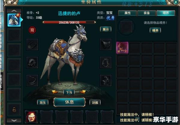 【御龙在天坐骑技能书】:探索神秘的骑乘技能 【御龙在天坐骑技能书】:探索神秘的骑乘技能