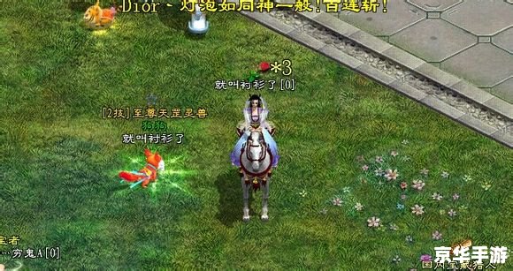 征途2开盗神技巧大揭秘