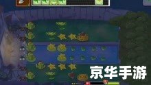 植物僵尸大战 植物大战僵尸:守护花园的英勇之战 植物僵尸大战 植物大战僵尸:守护花园的英勇之战