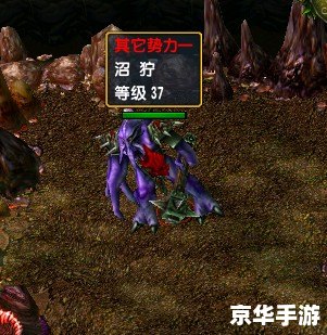 净天之命1.75隐藏英雄:挑战与探险的交融 净天之命1.75隐藏英雄:挑战与探险的交融