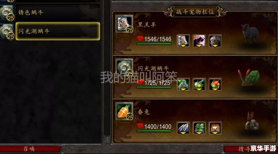 魔兽世界宠物对战:培养、策略与乐趣的融合 魔兽世界宠物对战:培养、策略与乐趣的融合