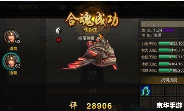 QQ华夏战魂携带等级:探索与成长 QQ华夏战魂携带等级:探索与成长