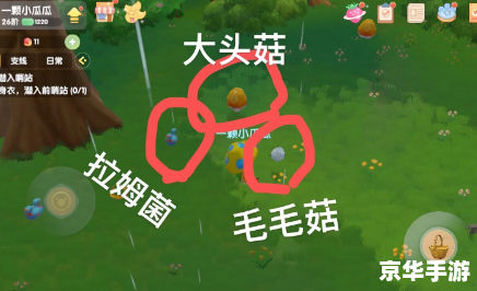 摩尔庄园毛毛菇炒蛋怎么做 摩尔庄园毛毛菇炒蛋制作攻略