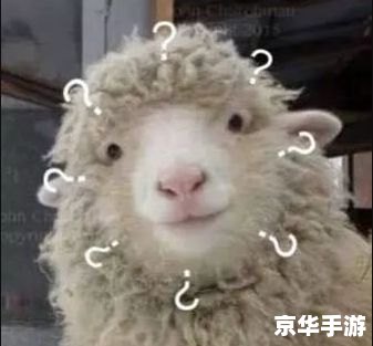 羊了个羊是什么意思 羊了个羊:一款让人欲罢不能的休闲游戏 羊了个羊是什么意思 羊了个羊:一款让人欲罢不能的休闲游戏