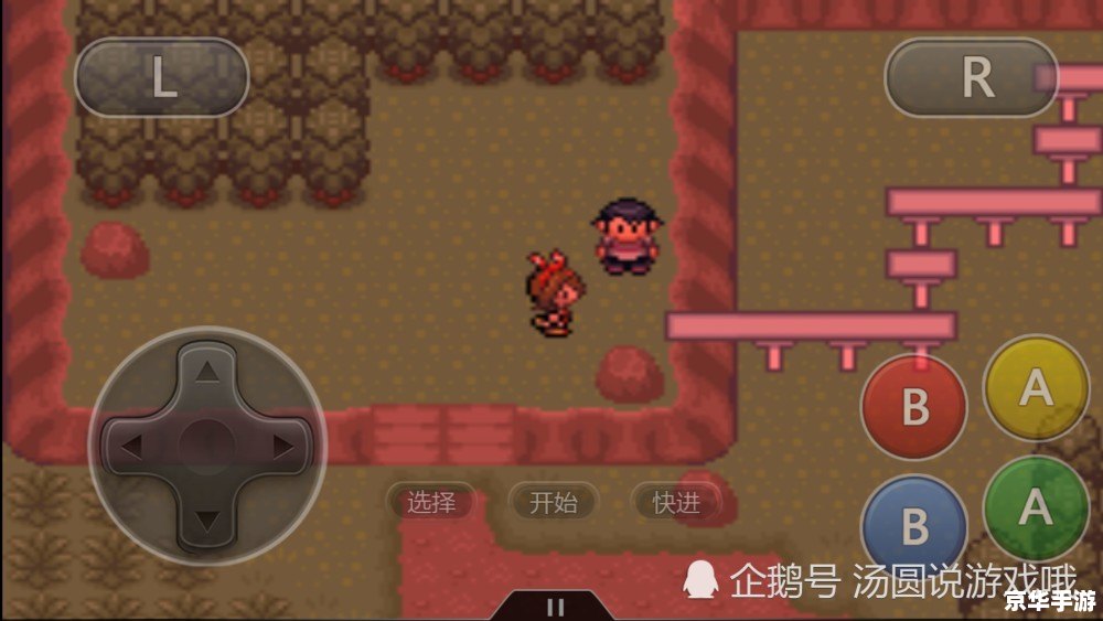 口袋妖怪黑:探索神秘的宝可梦世界 口袋妖怪黑:探索神秘的宝可梦世界