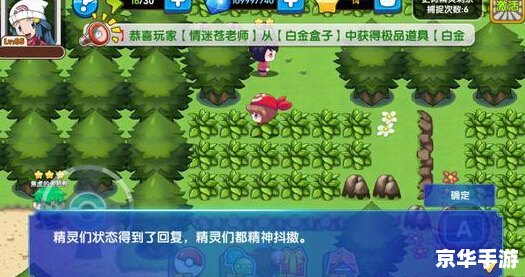 口袋妖怪图鉴:探索与收集的魅力之旅 口袋妖怪图鉴:探索与收集的魅力之旅