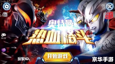 格斗美神武龙：激战热血江湖