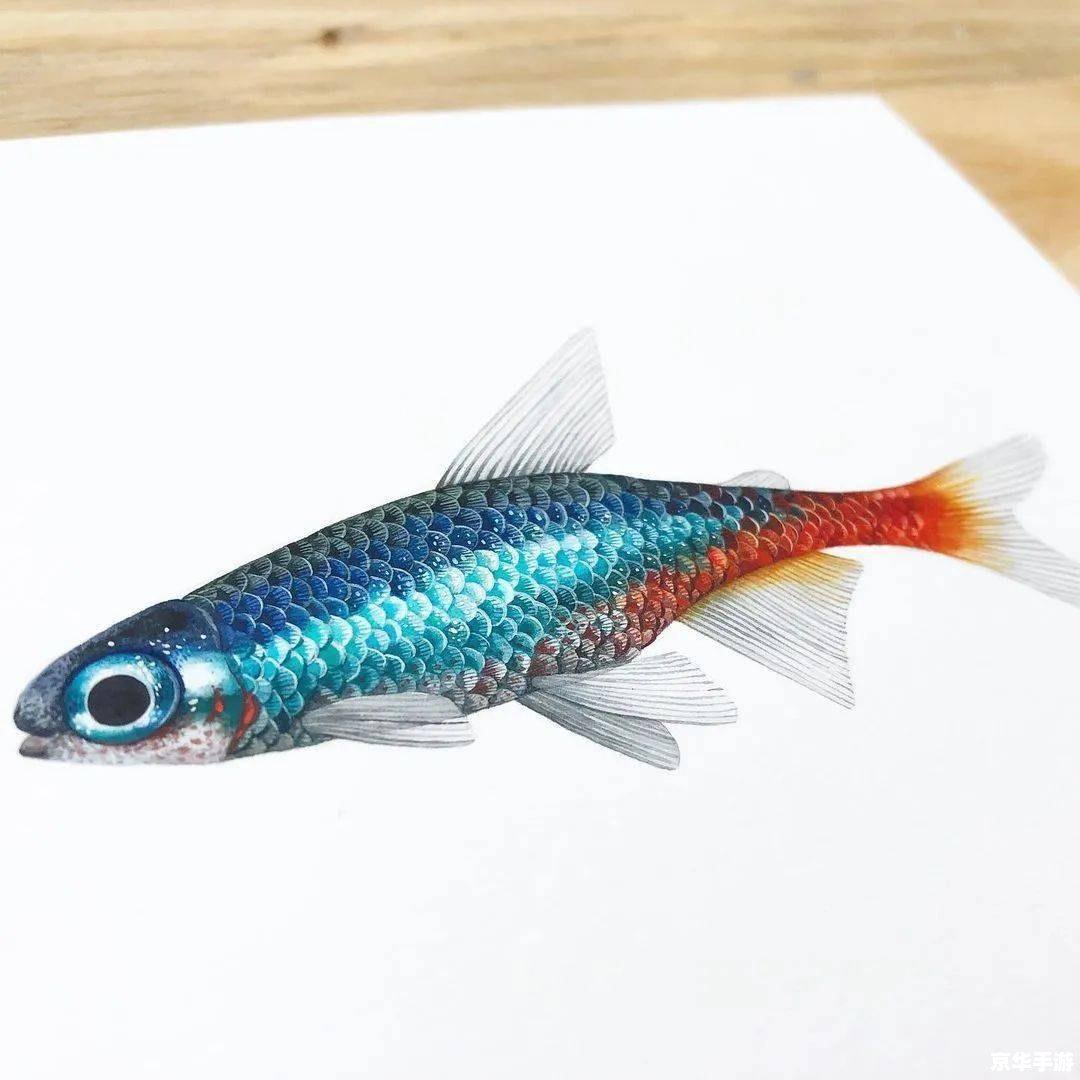 wow海龟:探索艾泽拉斯大陆的神奇生物 wow海龟:探索艾泽拉斯大陆的神奇生物
