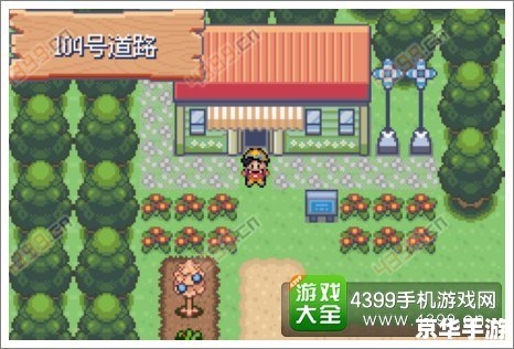口袋妖怪极光石:探索神秘的宝可梦世界 口袋妖怪极光石:探索神秘的宝可梦世界