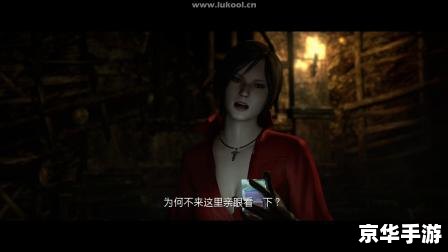 生化危机6艾达篇 生化危机6:艾达篇——深入探索 生化危机6艾达篇 生化危机6:艾达篇——深入探索