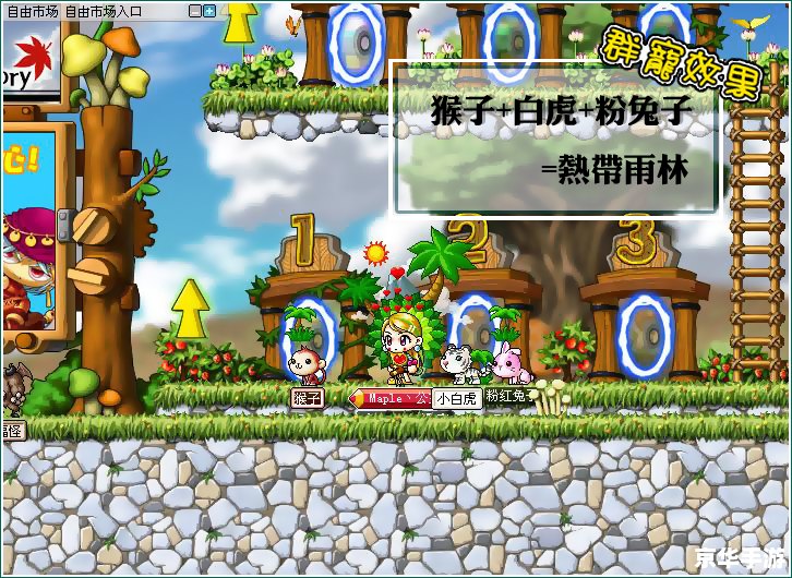 冒险岛大丽花:探索花朵背后的秘密 冒险岛大丽花:探索花朵背后的秘密