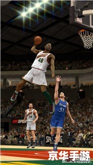 nba2k13 攻略 建议:《NBA 2K13攻略大全》 nba2k13 攻略 建议:《NBA 2K13攻略大全》