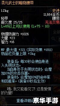 建议：《DNF失明现象探讨：标签下的游戏体验与视觉辅助需求》