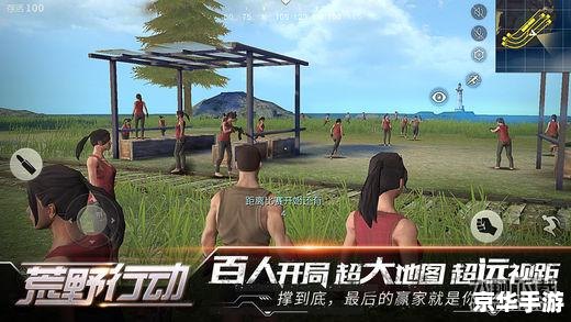 荒野行动辅助：提升游戏体验的必备工具