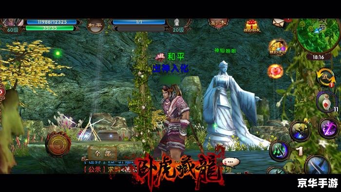 九阴真经太极拳奇遇——探秘与战斗的终极武学体验 九阴真经太极拳奇遇——探秘与战斗的终极武学体验