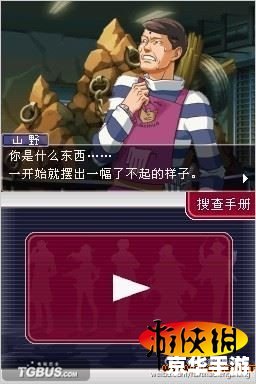 逆转裁判2汉化版 逆转裁判2汉化版：一场智力与勇气的较量