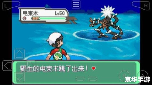 口袋妖怪究极绿宝石5.2攻略——掌握技巧，成为妖怪大师