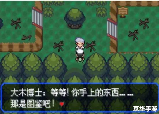 口袋妖怪究极绿宝石5.2攻略——掌握技巧，成为妖怪大师