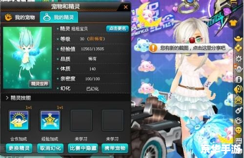 QQ飞车宠物进化表:理解与策略 QQ飞车宠物进化表:理解与策略