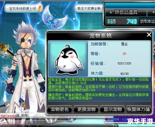 QQ飞车宠物进化表：理解与策略