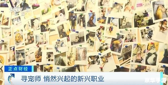 找你妹正式版——独具匠心的寻物之旅 找你妹正式版——独具匠心的寻物之旅