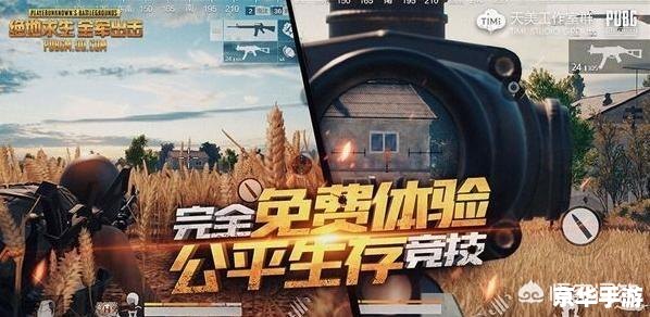 刺激战场和全军出击 建议:《刺激战场与全军出击:两款热门战斗游戏的分析与比较》 刺激战场和全军出击 建议:《刺激战场与全军出击:两款热门战斗游戏的分析与比较》