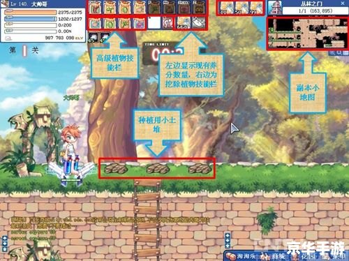 彩虹岛新职业来临:探索与战斗的全新篇章 彩虹岛新职业来临:探索与战斗的全新篇章