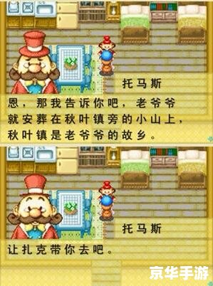 【牧场物语矿石镇的伙伴们】游戏深度解析 【牧场物语矿石镇的伙伴们】游戏深度解析