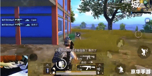 战地之王刷枪代码解析与应用 战地之王刷枪代码解析与应用