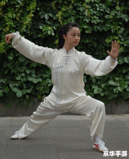 太极拳教程怎么安装 太极拳教程怎么安装